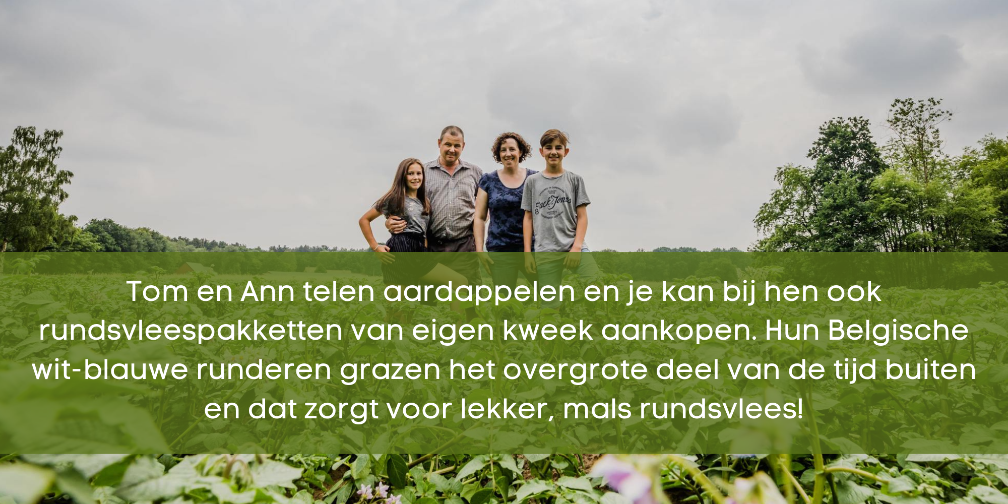 Beeld bij het artikel