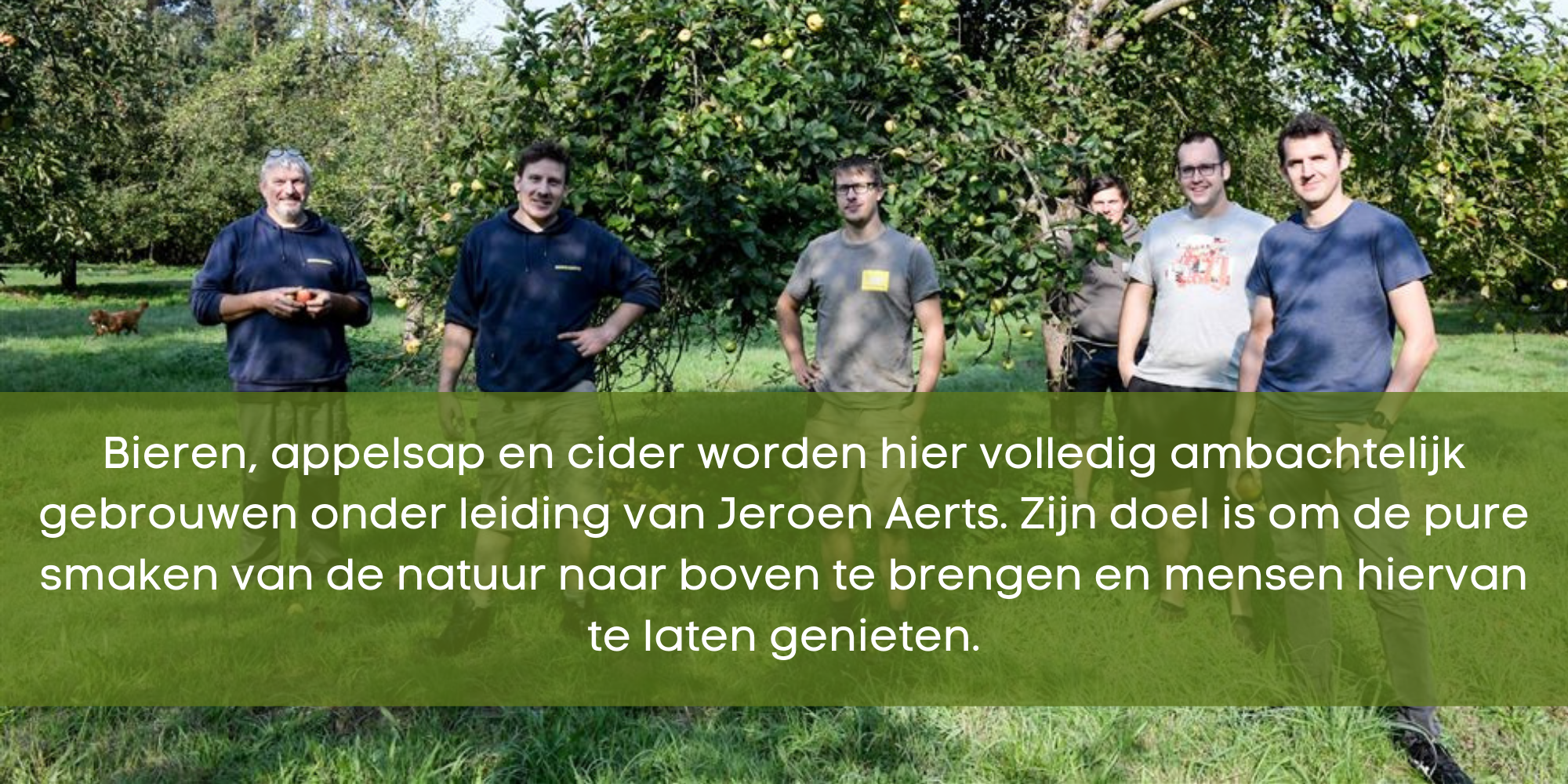 Beeld bij het artikel