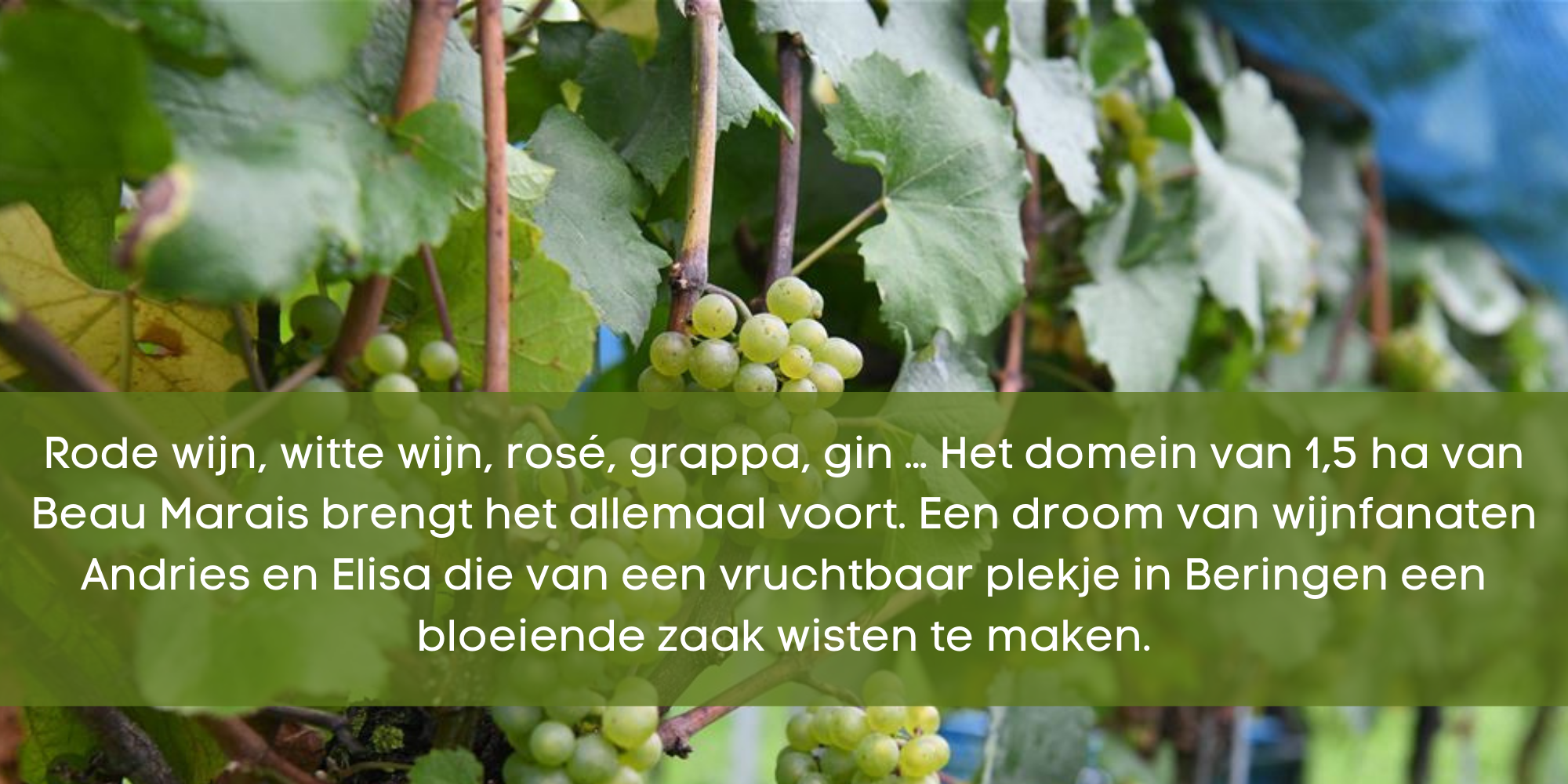 Beeld bij het artikel