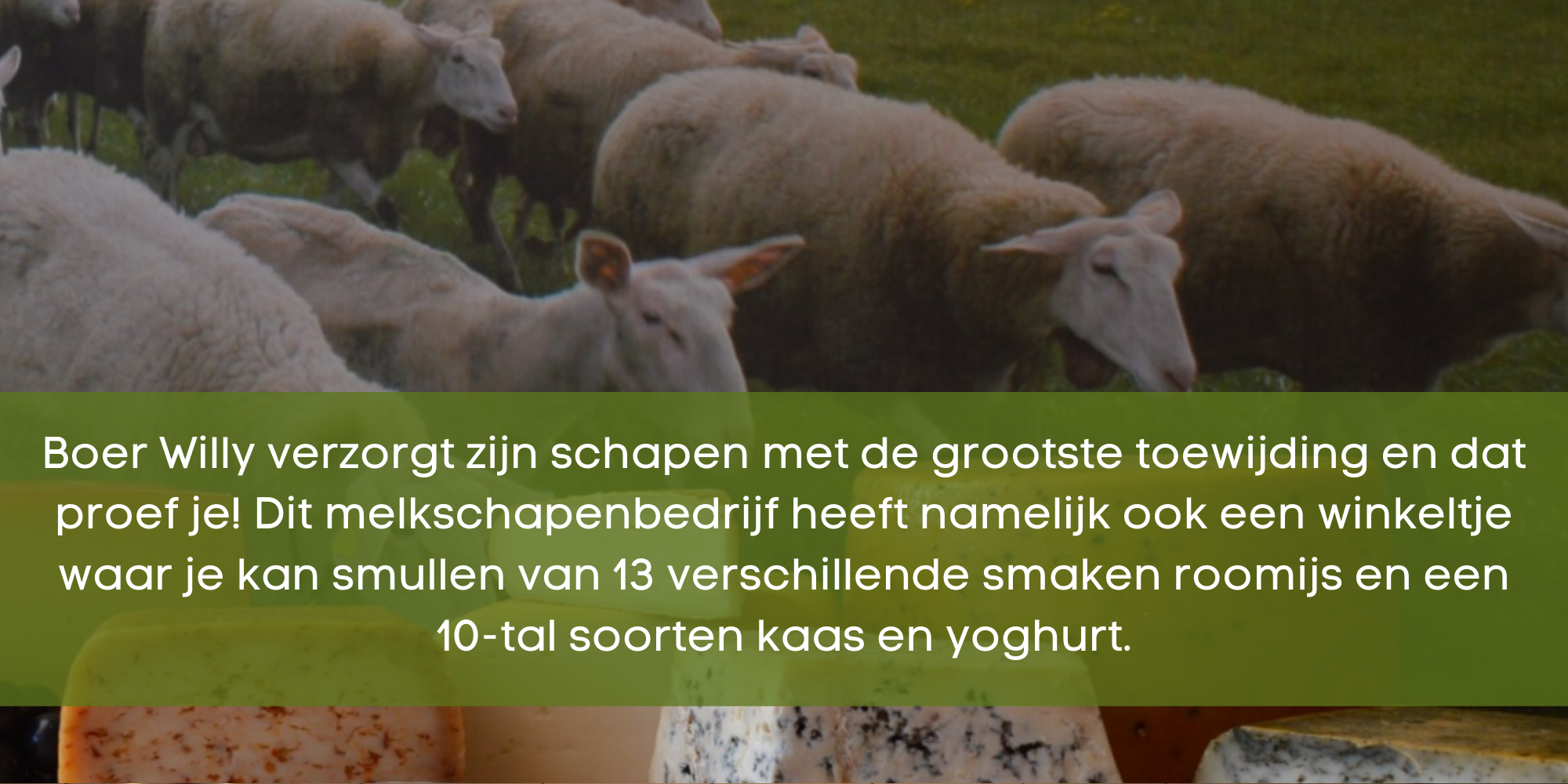 Beeld bij het artikel