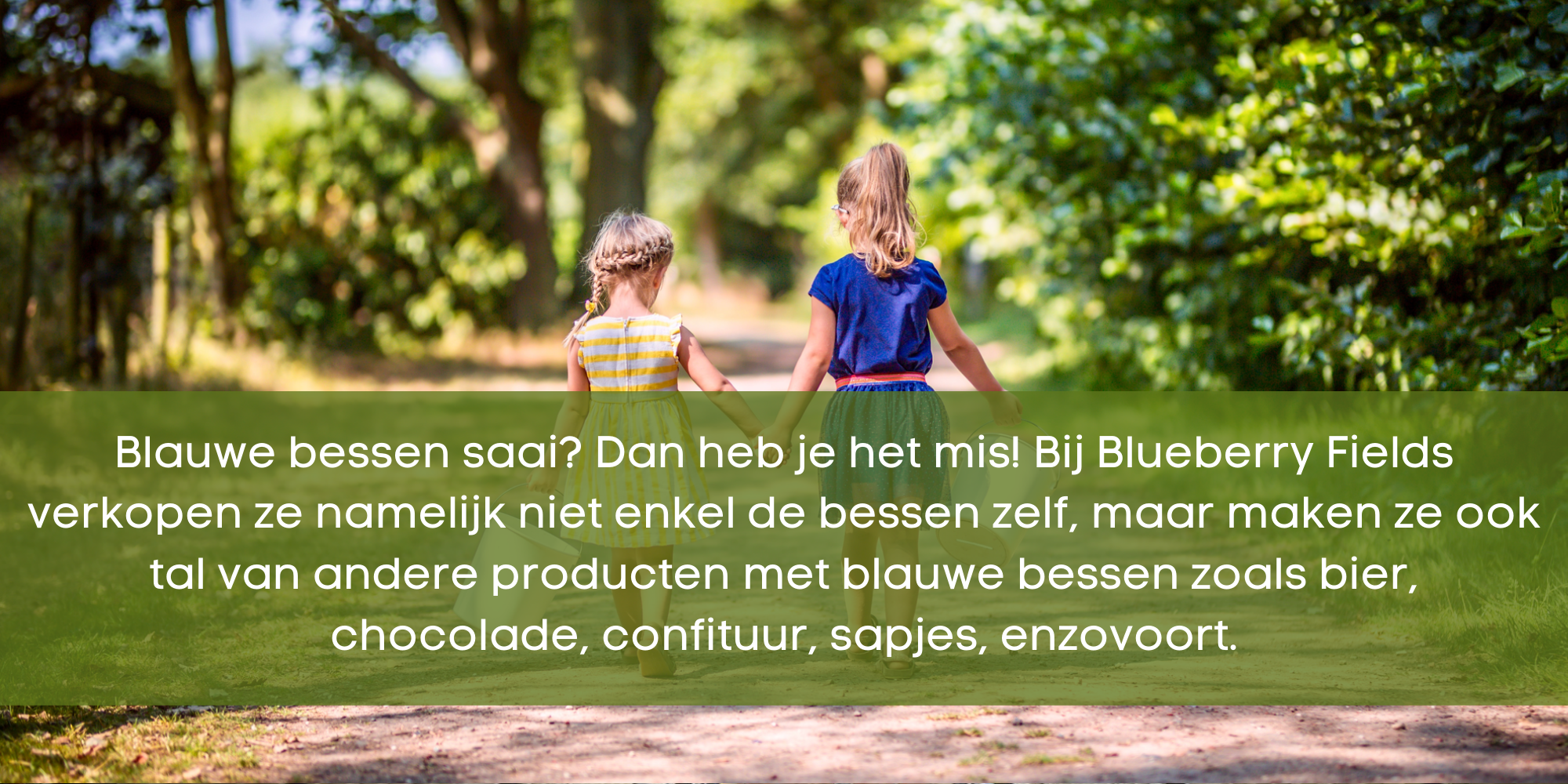 Beeld bij het artikel