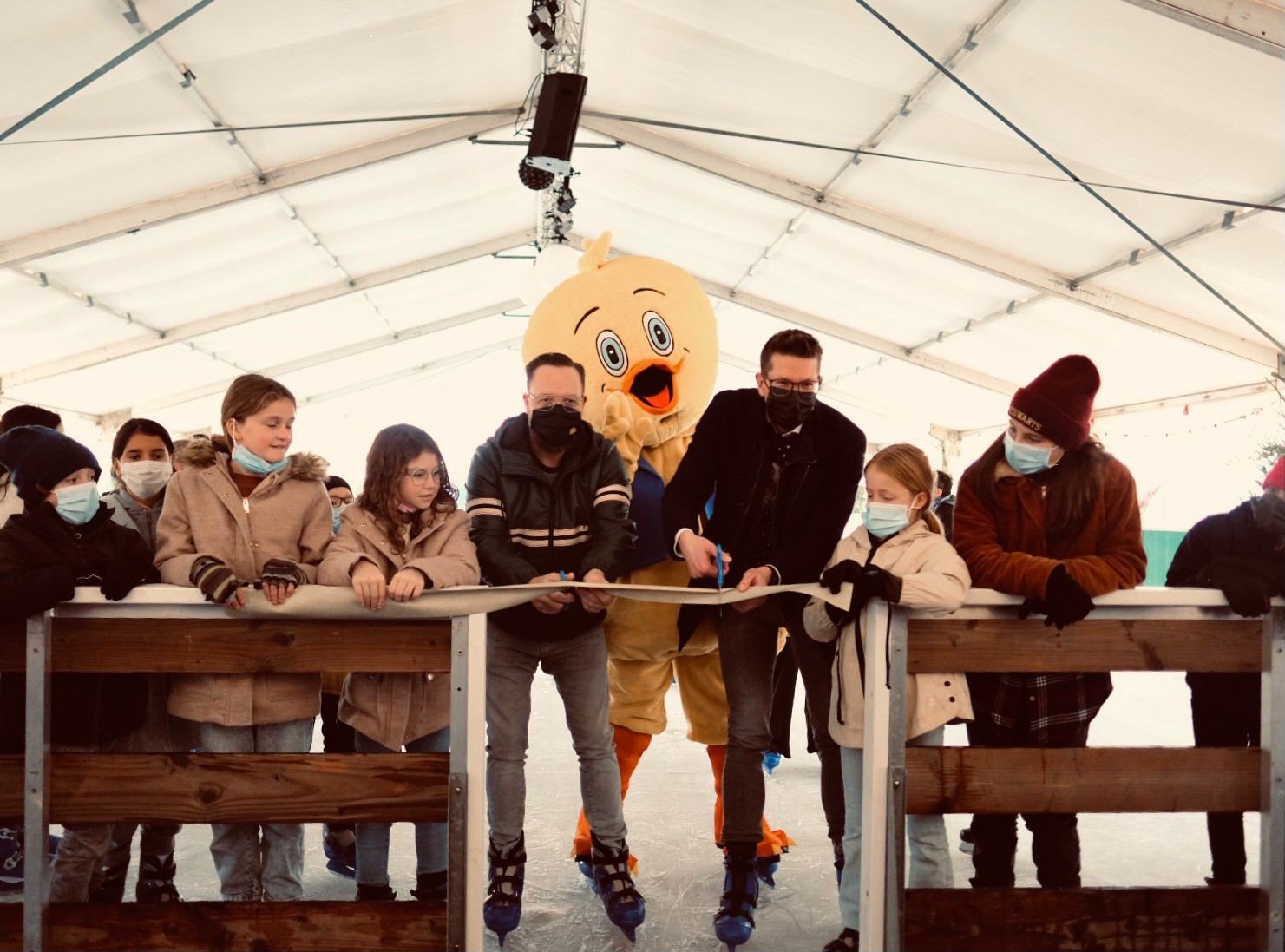 Beeld bij het artikel