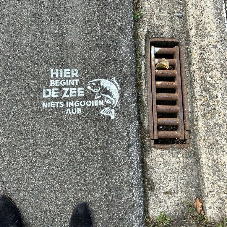 Beeld bij het artikel