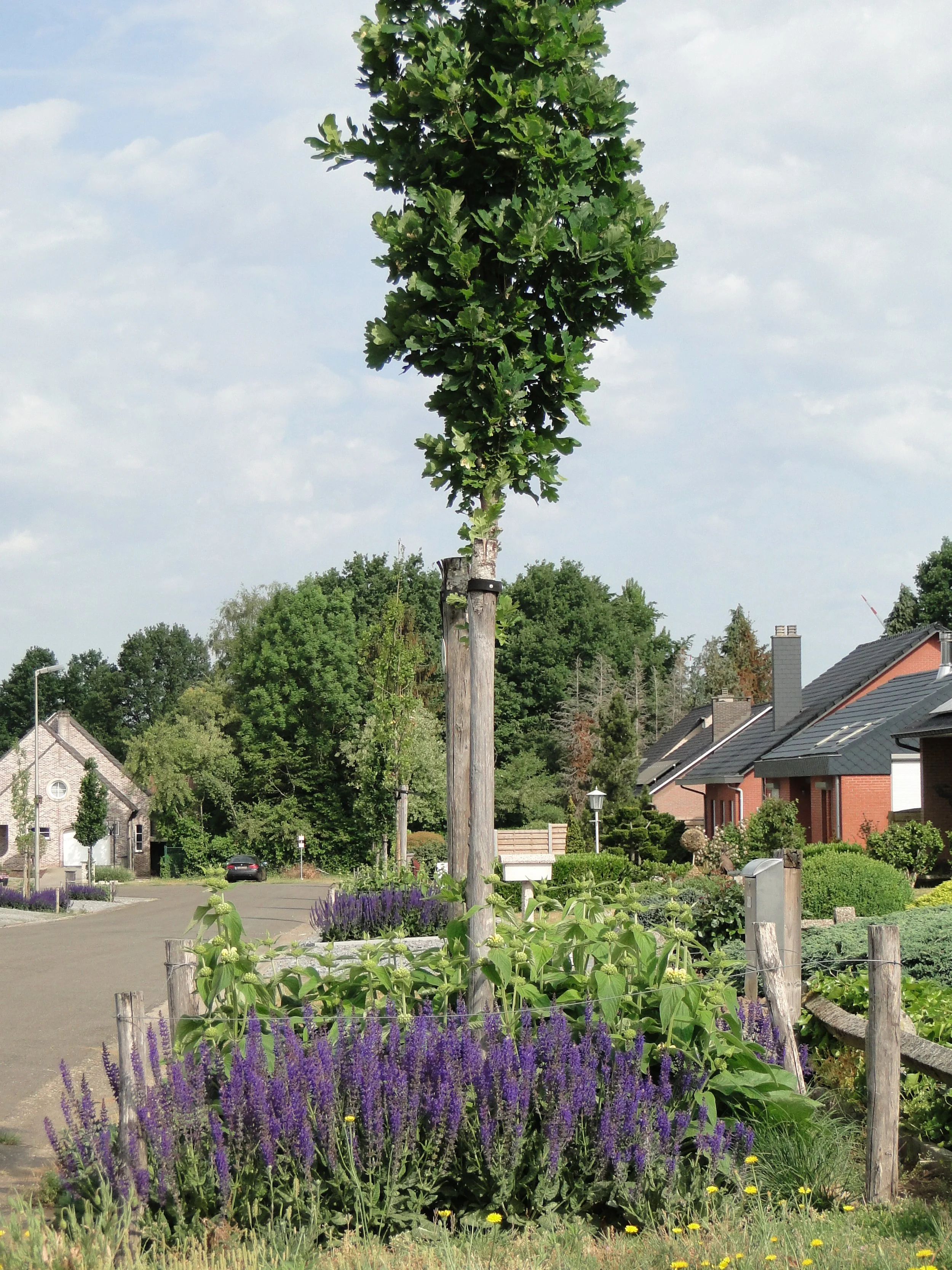 Beeld bij het artikel